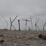 Am Strand von Hokitika