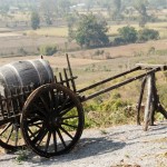 Weinfass auf Ochsenwagen