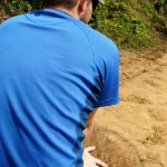 Roli auf dem Elefantenhals