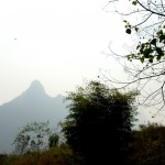 Aussicht aus dem Bus