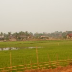 Aussicht aus dem Bus