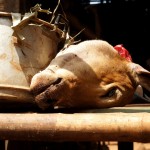 Einer de Köpfe vor dem Hauseingang