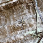 beinahe wäre Andrea ihr ins Netz gegangen...