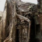 verschlungener Eingang