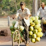 auch Velos eignen sich hervorragend als Transportmittel