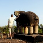 Roli finds a new friend