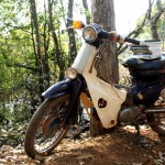 Die Bücher sollen an die Touristen verkauft werden