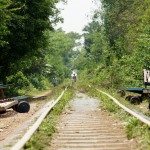 Gleise des Bambus-Zugs