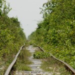 die französischen Gleise aus der Kolonialzeit