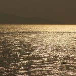 glitzernd im Abendlicht