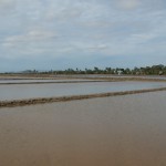 Zu viel Regen auf den Salzfeldern