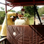 das durstige Tuk Tuk