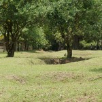 Killing Fields: die Senken waren einst gefüllt mit Menschenkörpern