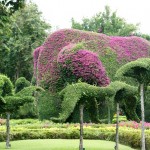 Buchselefant und Vögel im Hotel-Park
