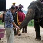 Roli füttert den Kleinen fachmännisch