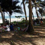 picknickende Familien im Schatten