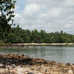 allein auf weiter Flur