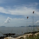 Mittagspause in einer einsamen Bucht