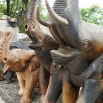 "kleine" Elefantensammlung