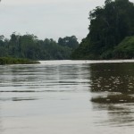 mit dem Boot in den Nationalpark Taman Negara