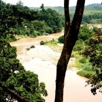 Sicht aus 45m Höhe auf den Nationalpark