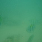 so toll war die Sicht beim Schnorcheln