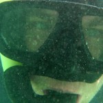 der sehr seltene und spezielle Rolifisch