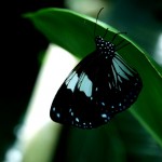 endlich sitzt er mal still!