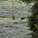 ...und der kleine auch