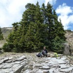 Picknick am Black Bear Pass