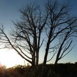 Sonnenuntergang in Mesa Verde
