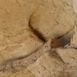 Loftwohnungen im Cliff Palace